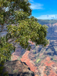 Kauai
