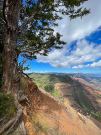 Kauai