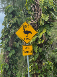 Kauai